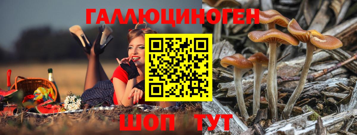 Переславль-Залесский  Галлюциногенные грибы прущие грибы  наркотики  Вход с VPN 