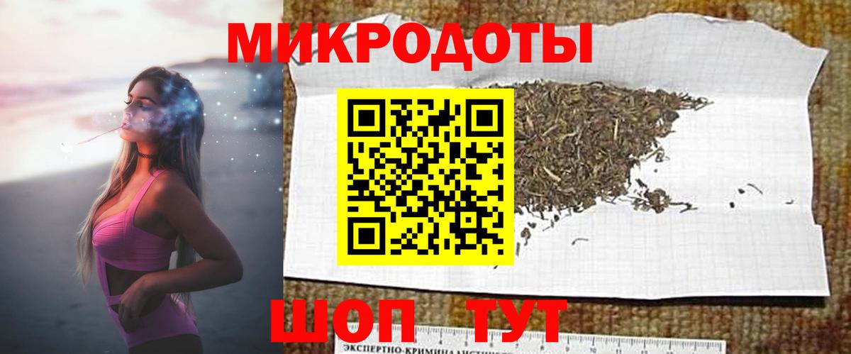 Псилоцибиновые грибы Psilocybe Переславль-Залесский